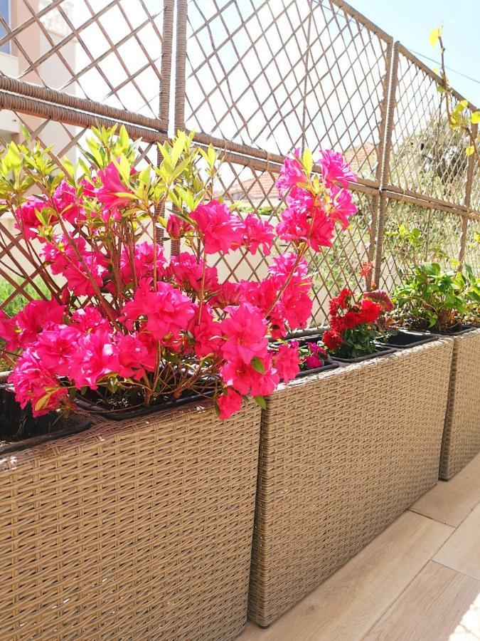 Apartments Leticia วรซี ภายนอก รูปภาพ